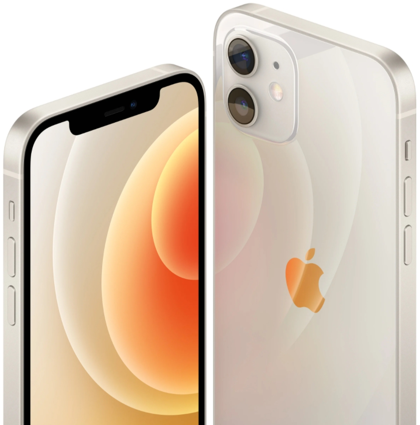Смартфон Apple iPhone 12 64Gb MGJ63RU/A (White) купить в интернет-магазине icover
