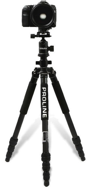 Dolica Proline Carbon Fiber Tripod (ZX600B103) - штатив для фотокамер  купить в интернет-магазине icover