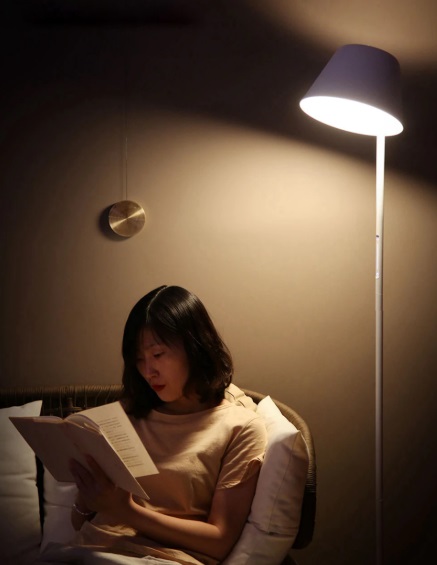 Умный торшер Xiaomi Smart Floor Lamp YLLD01YL (White) купить в интернет-магазине icover