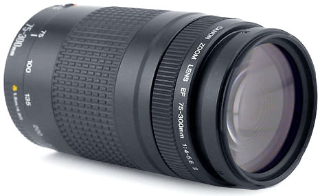 Объектив Canon EF 75-300mm f/4-5.6 III купить в интернет-магазине icover