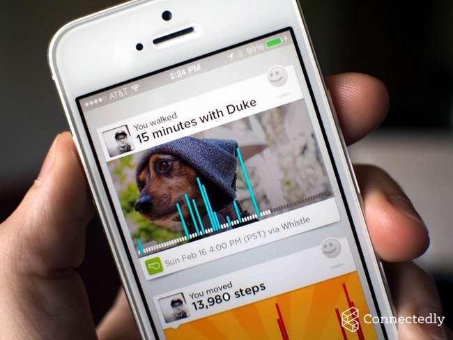 Whistle Activity Monitor - монитор активности для собак купить в интернет-магазине icover