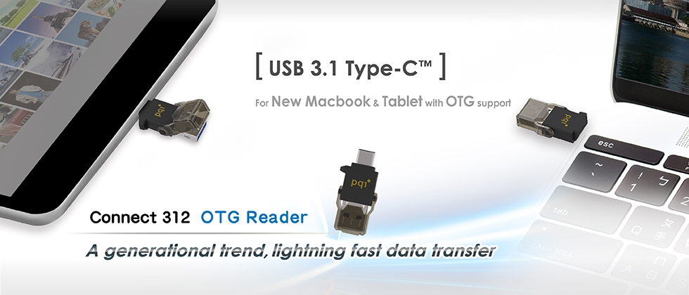 Картридер PQI Connect 312 USB 3.1 Type-C OTG (Black) купить в интернет-магазине icover