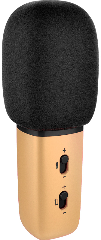 

Just Sing, C1
