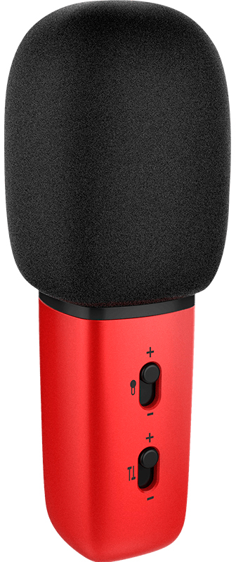 

Just Sing, C1