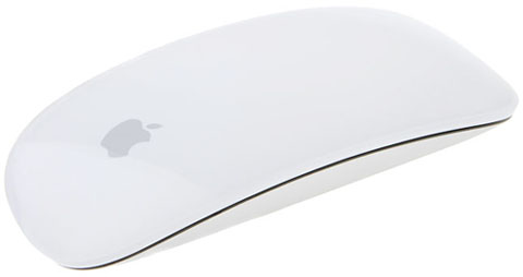 Apple Magic Mouse (MB829ZM/A) беспроводная мышь  купить в интернет-магазине icover