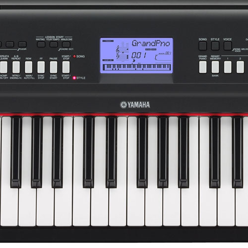 Купить yamaha np-v80 piaggero (a030264) - синтезатор (black) в Москве. В нашем каталоге интернет-магазина icover.ru вы можете ознакомиться с ценами, подробным описанием, фотографиями и техническими характеристиками. Низкие цены. Высокое качество. Доставка по России. Заказать товары по телефону +7(495)229-39-50 Yamaha NP-V80 Piaggero (A030264) - синтезатор (Black) купить в интернет-магазине icover