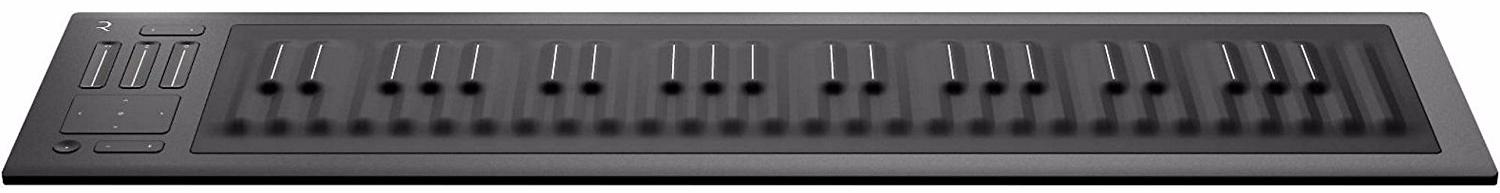 ROLI Seaboard RISE 49 - MIDI-контроллер (Grey) купить в интернет-магазине icover