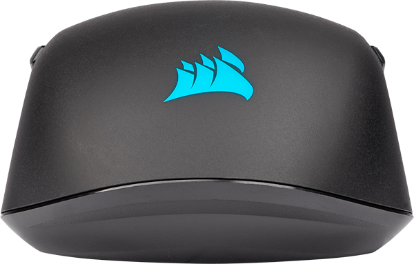 Игровая мышь Corsair Gaming Ambidextrous M55 RGB CH-9308011-EU (Black) купить в интернет-магазине icover