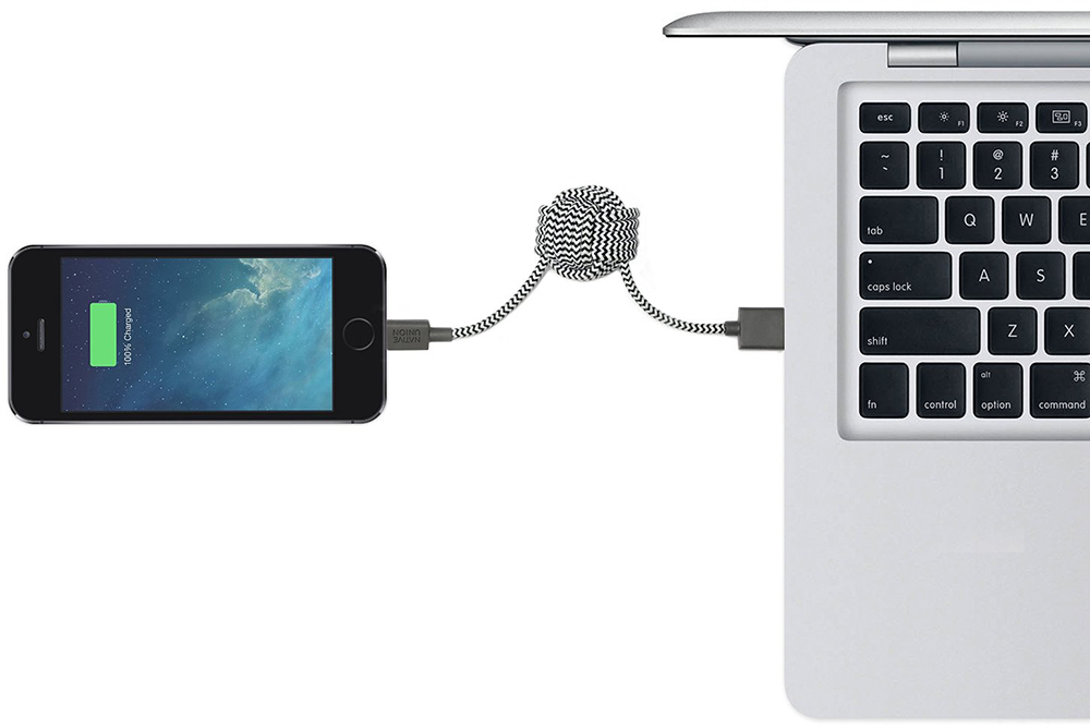 Кабель для iPod, iPhone, iPad Native Union KEY USB-Lightning Cable (Zebra) купить в интернет-магазине icover