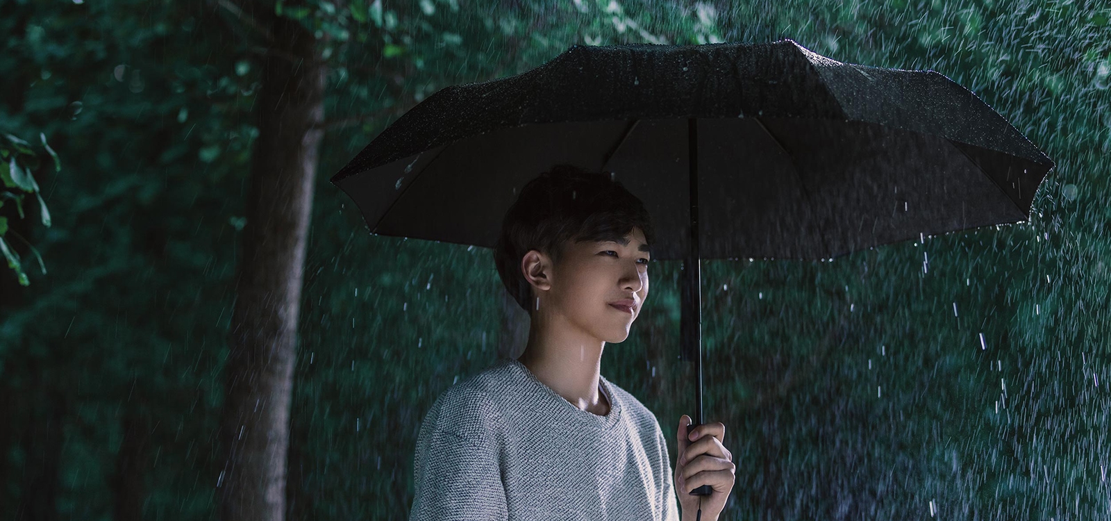 Зонт Xiaomi MiJia Automatic Umbrella JDV4002TY (Black) купить в интернет-магазине icover