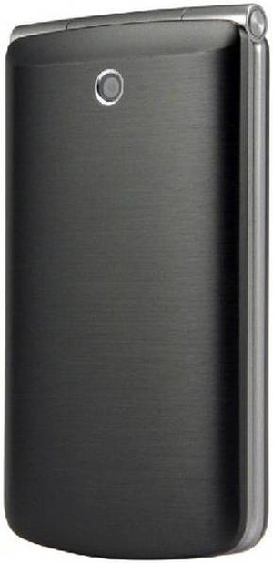 LG G360 - мобильный телефон (Titanium) купить в интернет-магазине icover