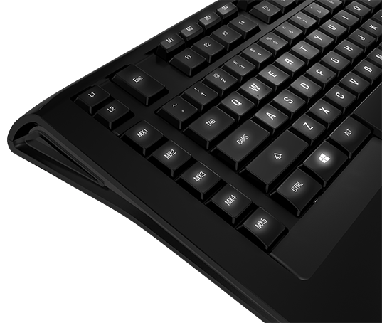SteelSeries Apex [RAW] Gaming Keyboard Black USB- игровая клавиатура купить в интернет-магазине icover