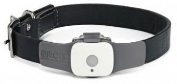 Snaptracs Tagg — The Pet Tracker - GPS-трекер для поиска животных купить в интернет-магазине icover