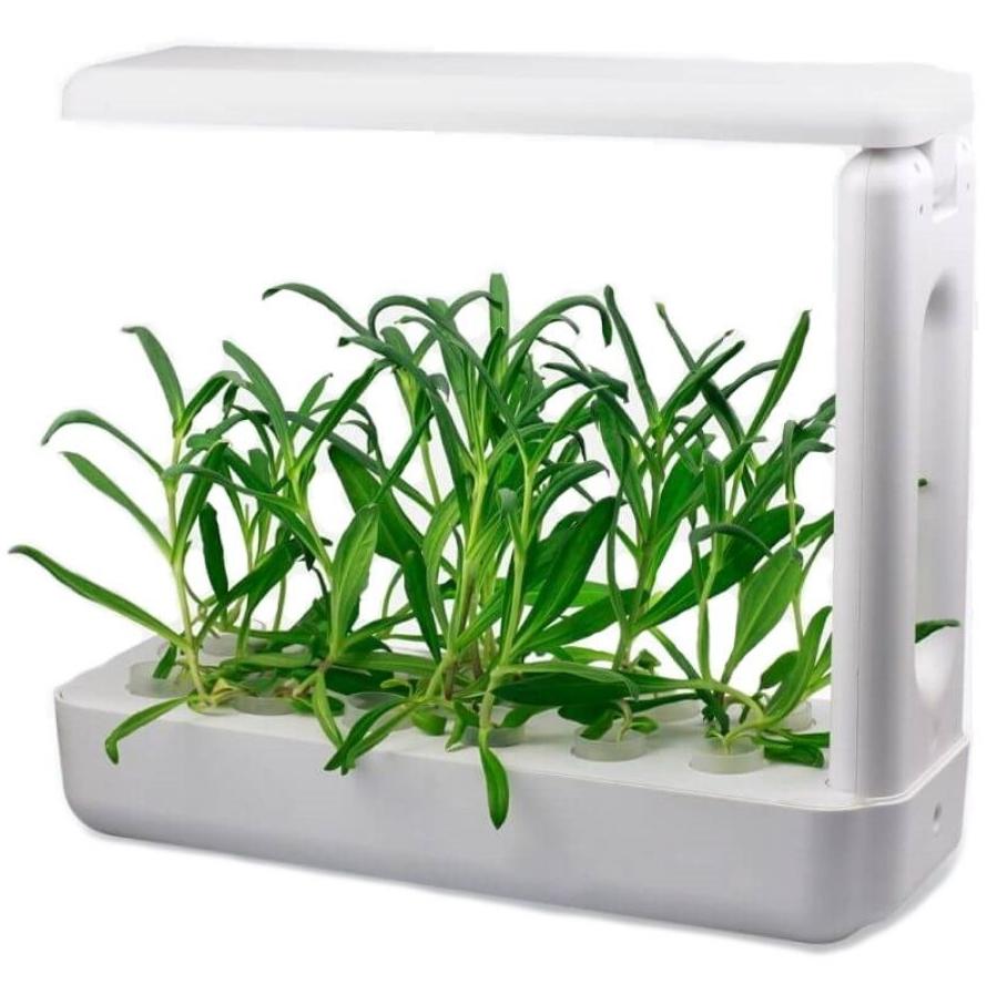 Настольная ферма VegeBox K-Box (White) купить в интернет-магазине icover
