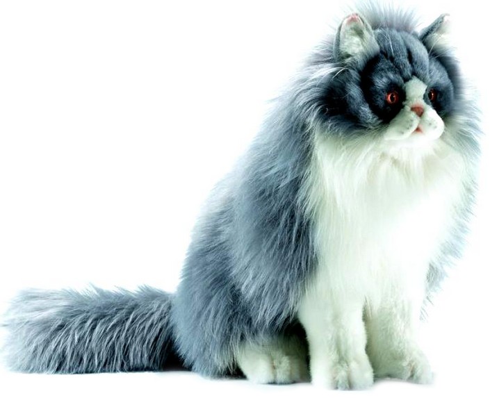 Кошка ру яндекс
