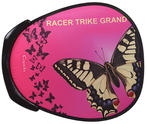 Capella Racer Trike Grand (GL000021179) - детский велосипед (Pink) купить в интернет-магазине icover