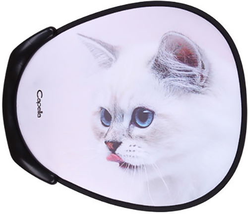 Capella Racer Trike Grand (GL000021164) - детский велосипед (White) купить в интернет-магазине icover