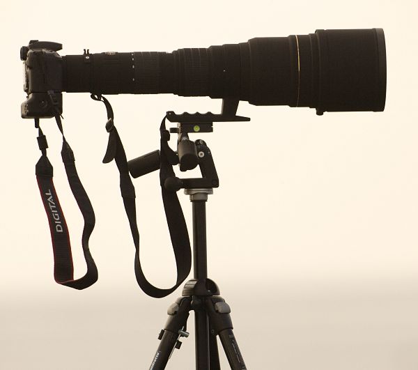 Sigma AF 300-800mm f/5.6 APO EX DG HSM (595955) - объектив для фотокамеры NIKON (Black) купить в интернет-магазине icover