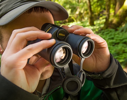 Купить бинокль nikon monarch 7 8x42 dcf wp в Москве. В нашем каталоге интернет-магазина icover.ru вы можете ознакомиться с ценами, подробным описанием, фотографиями и техническими характеристиками. Низкие цены. Высокое качество. Доставка по России. Заказать товары по телефону +7(495)229-39-50 Бинокль Nikon Monarch 7 8x42 DCF WP купить в интернет-магазине icover