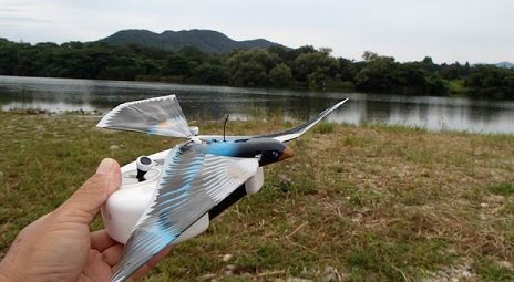 Купить avitron bionic flying bird version 2 - радиоуправляемая робоптица в Москве. В нашем каталоге интернет-магазина icover.ru вы можете ознакомиться с ценами, подробным описанием, фотографиями и техническими характеристиками. Низкие цены. Высокое качество. Доставка по России. Заказать товары по телефону +7(495)229-39-50 Avitron Bionic Flying Bird Version 2 - радиоуправляемая робоптица купить в интернет-магазине icover