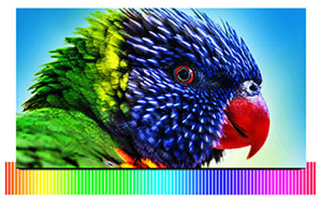 Купить samsung ue28j4100akxru - led-телевизор (black) в Москве. В нашем каталоге интернет-магазина icover.ru вы можете ознакомиться с ценами, подробным описанием, фотографиями и техническими характеристиками. Низкие цены. Высокое качество. Доставка по России. Заказать товары по телефону +7(495)229-39-50 Samsung UE28J4100AKXRU - LED-телевизор (Black) купить в интернет-магазине icover