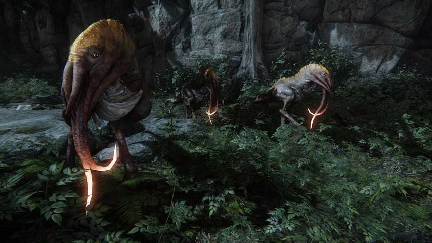 Купить evolve - видеоигра для ps4 (русская версия) в Москве. В нашем каталоге интернет-магазина icover.ru вы можете ознакомиться с ценами, подробным описанием, фотографиями и техническими характеристиками. Низкие цены. Высокое качество. Доставка по России. Заказать товары по телефону +7(495)229-39-50 Evolve - видеоигра для PS4 (русская версия) купить в интернет-магазине icover