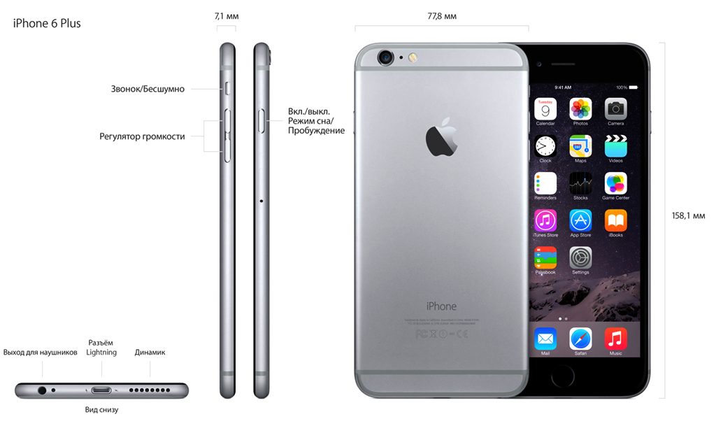 Apple iPhone 6 Plus 16Gb 5.5" Space Gray (MGAH2RU/A) с демо контентом купить в интернет-магазине icover