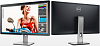 Монитор Dell P2815Q 28" 4K WLED купить в интернет-магазине icover