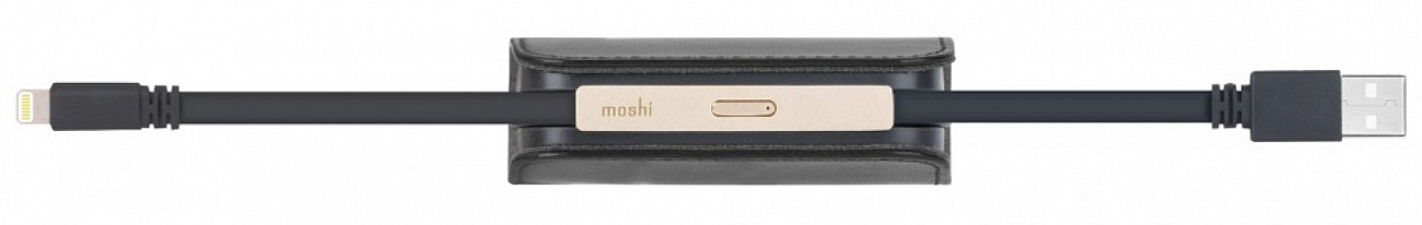 Портативный аккумулятор Moshi IonBank 3K 3200mAh 99MO022128 (Black) купить в интернет-магазине icover