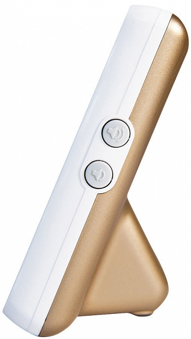 Видеоняня Ramili Baby RV1000X4 (Gold) купить в интернет-магазине icover