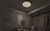 Потолочная лампа Yeelight Arwen Ceiling Light 550S (YLXD013-A) купить в интернет-магазине icover