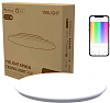 Потолочная лампа Yeelight Arwen Ceiling Light 450C (YLXD013-B) купить в интернет-магазине icover