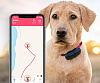 GPS-трекер Tractive TRDOG1 для собак (Black) купить в интернет-магазине icover