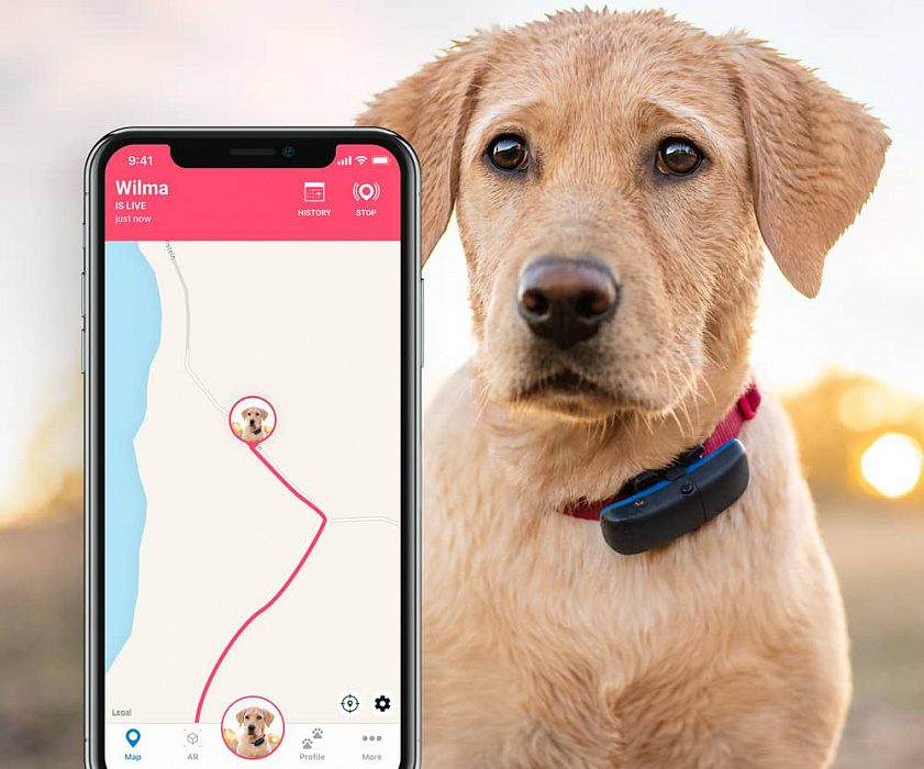 GPS-трекер Tractive TRDOG1 для собак (Black) купить в интернет-магазине icover