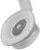 Беспроводные наушники Bang & Olufsen Beoplay H95 (Grey Mist) купить в интернет-магазине icover