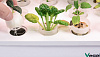 Набор корзинок для высадки VegeBox (White) купить в интернет-магазине icover