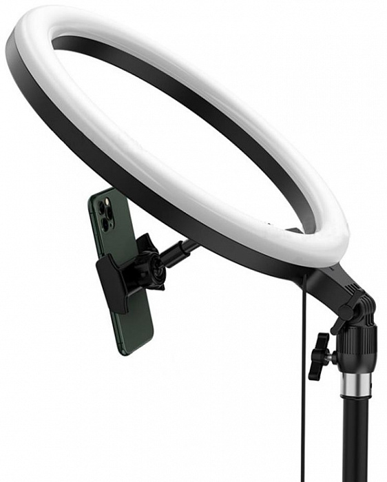 Штатив с LED-лампой Baseus Live Stream Holder-Floor Stand CRZB12-B01 (Black) купить в интернет-магазине icover