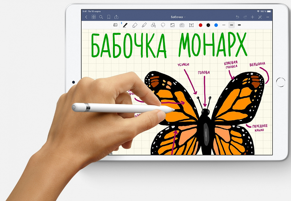 Планшет Apple iPad Air 2019 10.5 Wi-Fi + Cellular 64Gb MV0F2RU/A Gold купить в интернет-магазине icover