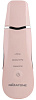 Аппарат для ультразвуковой чистки Gezatone Bio Sonic 770S (Pink) купить в интернет-магазине icover