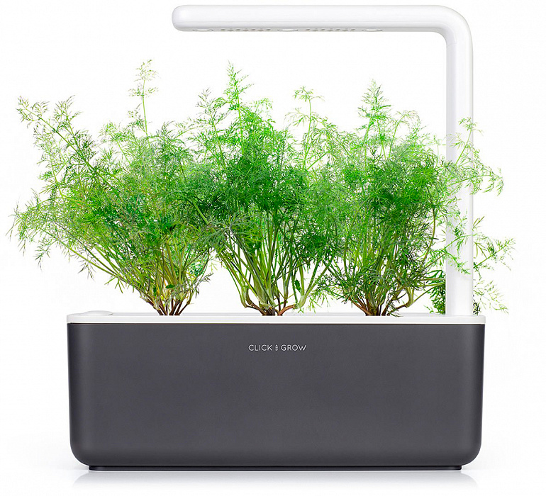 Комплект картриджей Click & Grow Укроп 3 Pack купить в интернет-магазине icover
