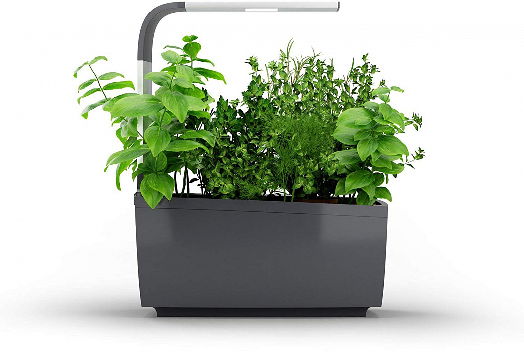 Умный сад Tregren T6 Kitchen Garden (Grey) купить в интернет-магазине icover