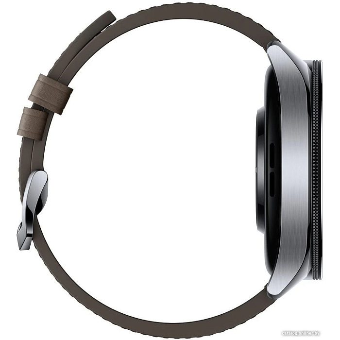 Смарт-часы Xiaomi Watch 2 Pro 4G LTE (Silver/Brown) купить в интернет-магазине icover