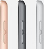 Планшет Apple iPad 2019 10.2 Wi-Fi 32Gb MW742RU/A (Space Gray) купить в интернет-магазине icover