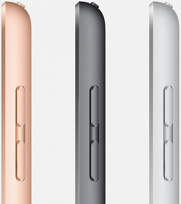 Планшет Apple iPad 2019 10.2 Wi-Fi 32Gb MW742RU/A (Space Gray) купить в интернет-магазине icover