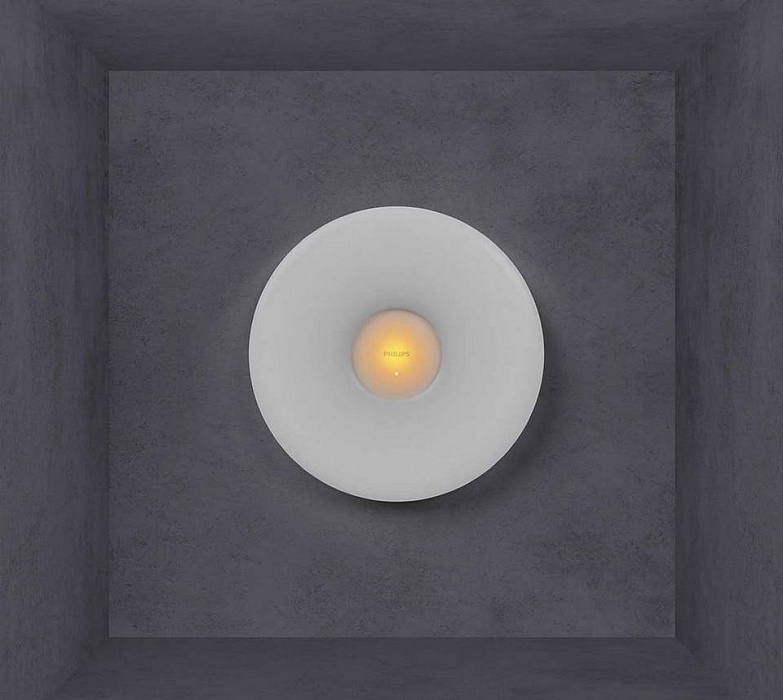 Потолочная лампа Xiaomi Philips Ceiling Lamp (White) купить в интернет-магазине icover