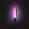 Светильник Philips Hue Liane 8718696169674 (Black) купить в интернет-магазине icover