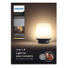 Настольная светодиодная лампа Philips Wellness HUE (15720) купить в интернет-магазине icover