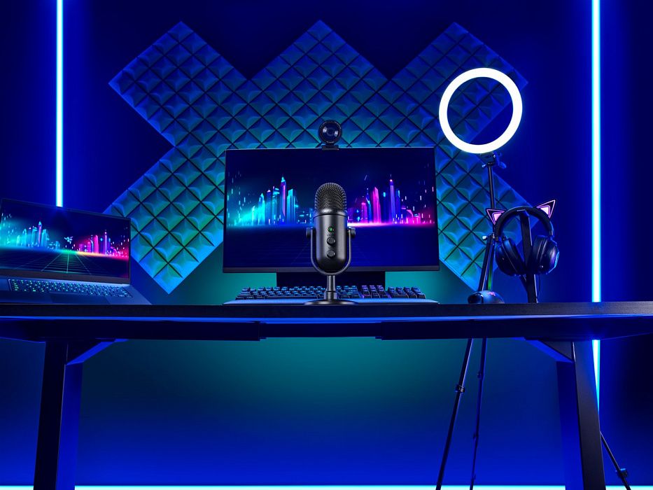 Микрофон Razer Seiren V2 Pro RZ19-04040100-R3M1 (Black) купить в интернет-магазине icover
