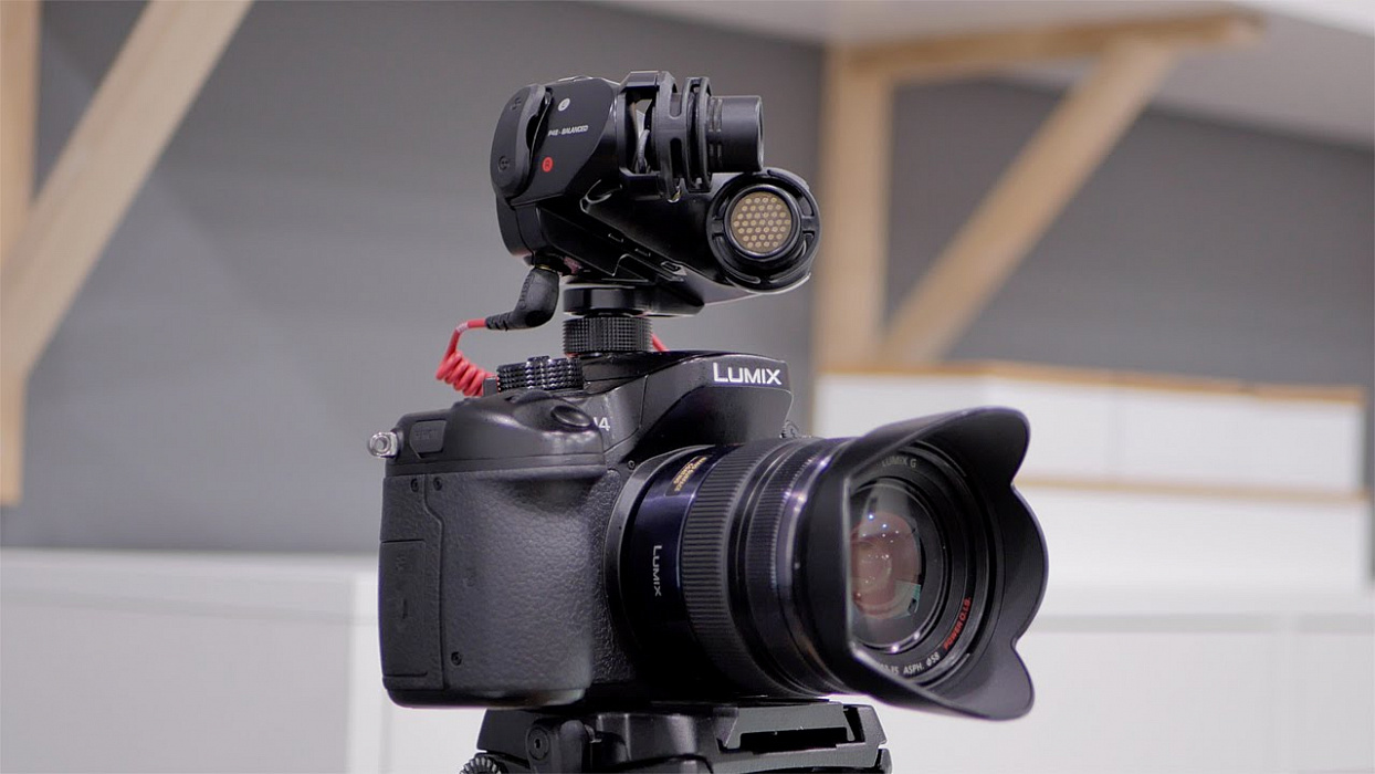 Накамерный микрофон Rode Stereo VideoMic X (Black) купить в интернет-магазине icover