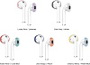 Держатель Elago Secure Fit (EAP-PADSM-IROCBL) для наушников Apple AirPods (Italian Rose/Coral Blue) купить в интернет-магазине icover